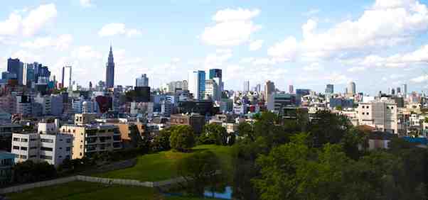 东京城市的成长、起源、扩张、挑战、成功、城市都市环境的发展、城市规划与管理